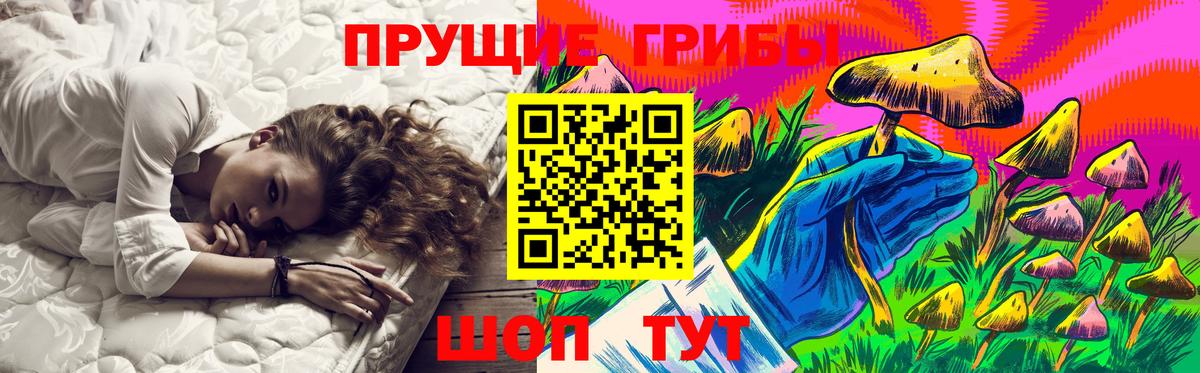 Псилоцибиновые грибы мухоморы Чехов